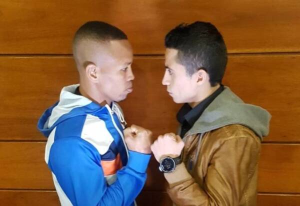 aguja anuar