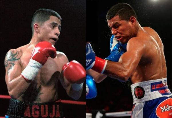 aguja chocolatito