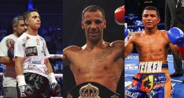 aguja chocolatito yafai
