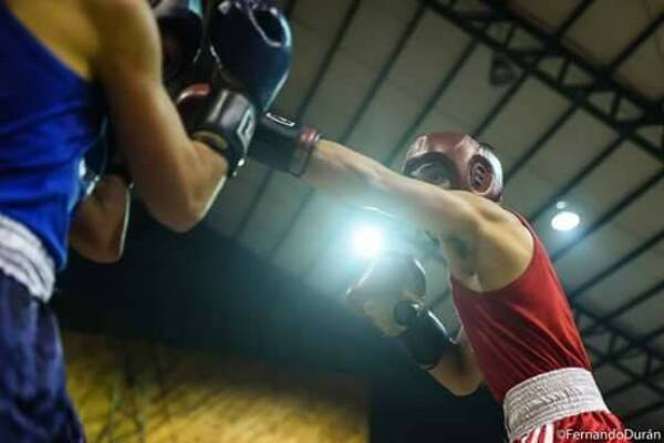 boxeo