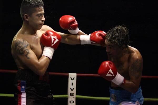 Boxeo