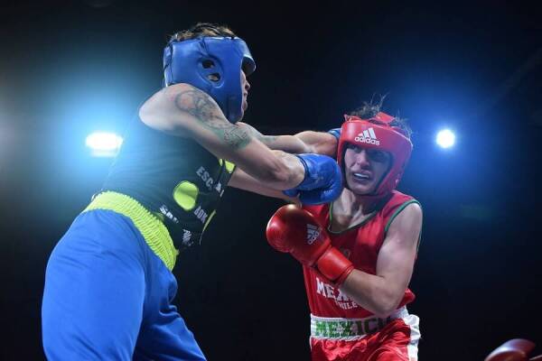 Boxeo amateur 01