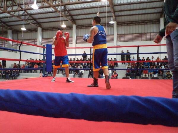 boxeo-pmontt-1