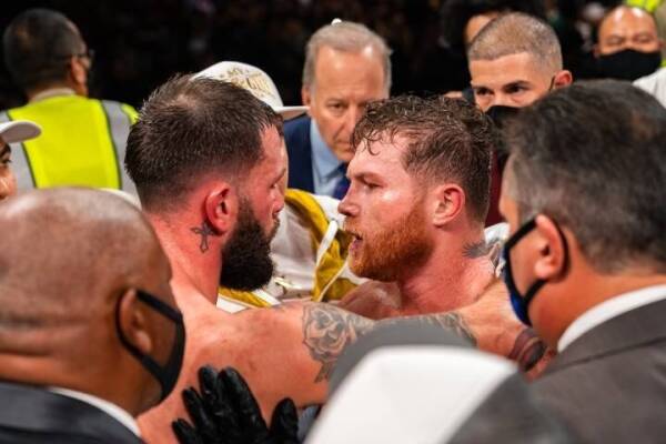 canelo-plant_1636266101