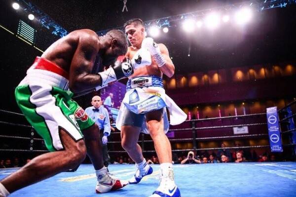 castano-omotoso-fight (10)