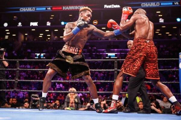 charlo-harrison-fight (4)