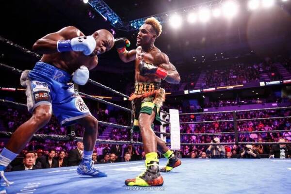 charlo-harrison-rematch (5)