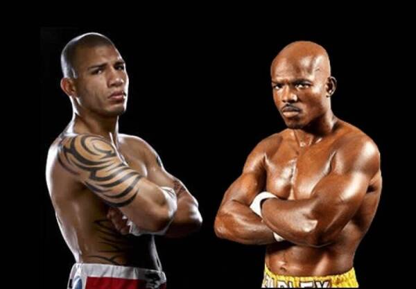 cotto bradley
