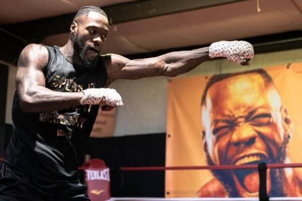 deontay-wilder-hafey (26)