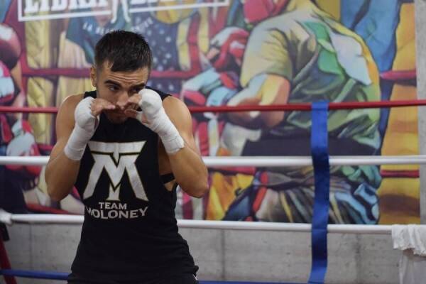 moloney