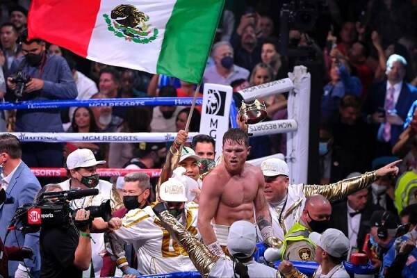 canelo plant