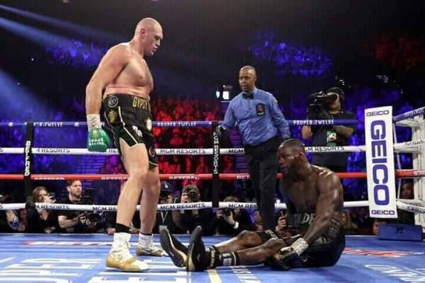 fury wilder