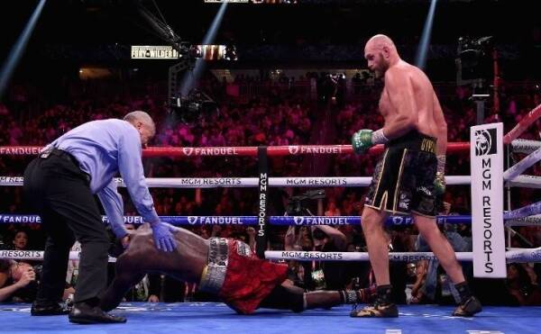 fury wilder