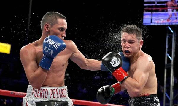 gallo estrada