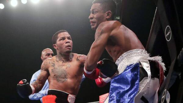 Nunez Davis Boxing