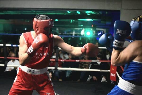 habana boxing