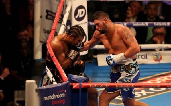 haye bellew