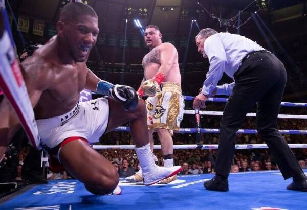 joshua-andy-ruiz-fight (46)