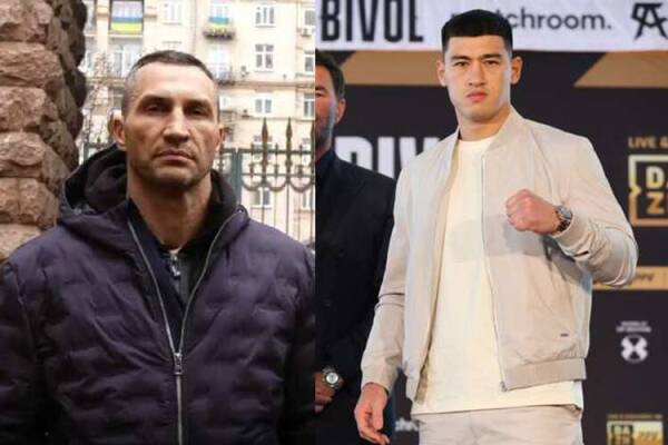 klitschko bivol