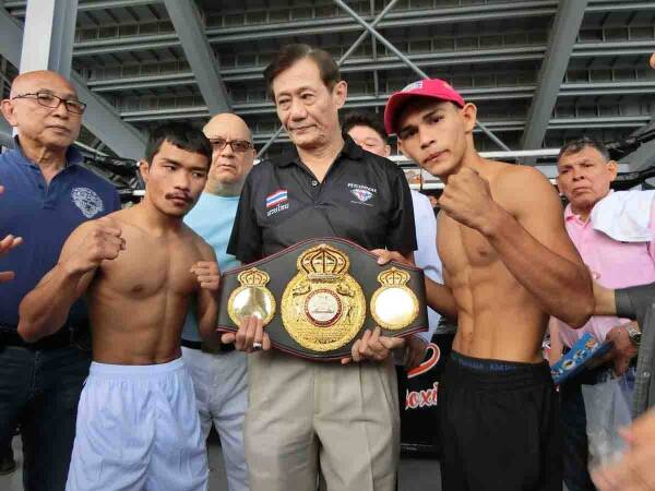 knockout cp freshmart