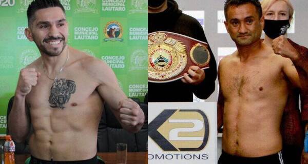 pato-lucas-tigre-palma-750×400