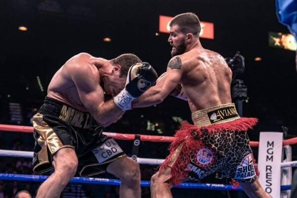 plant-lee-fight-hafey (13)