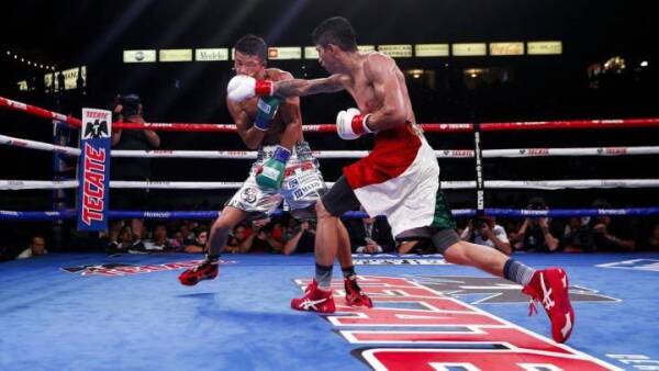 rey vargas