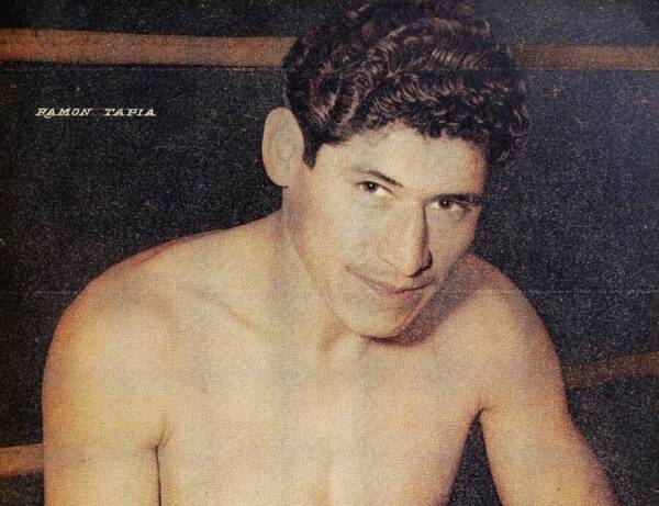tapia