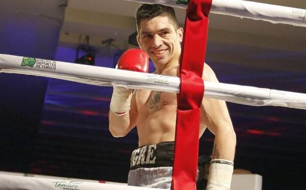 tigre