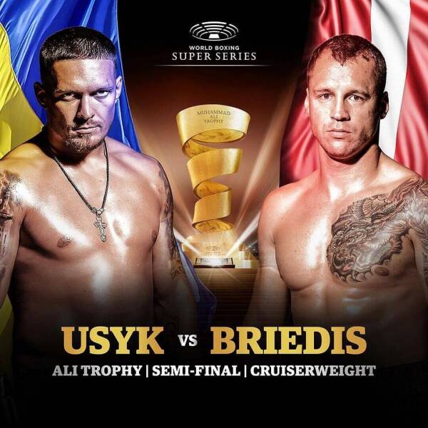 usyk vs briedis