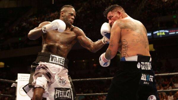wilder