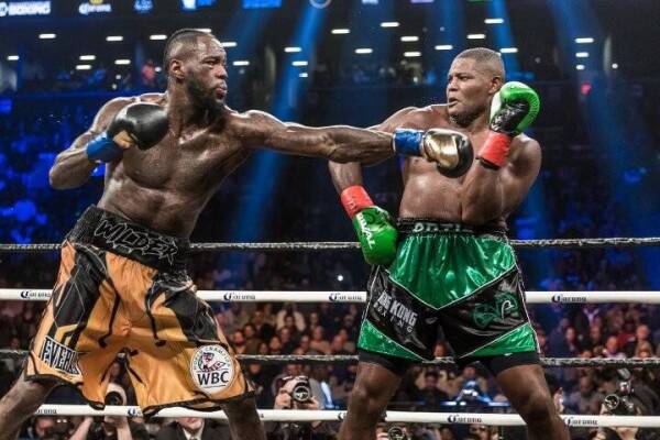wilder-ortiz-fight (75)